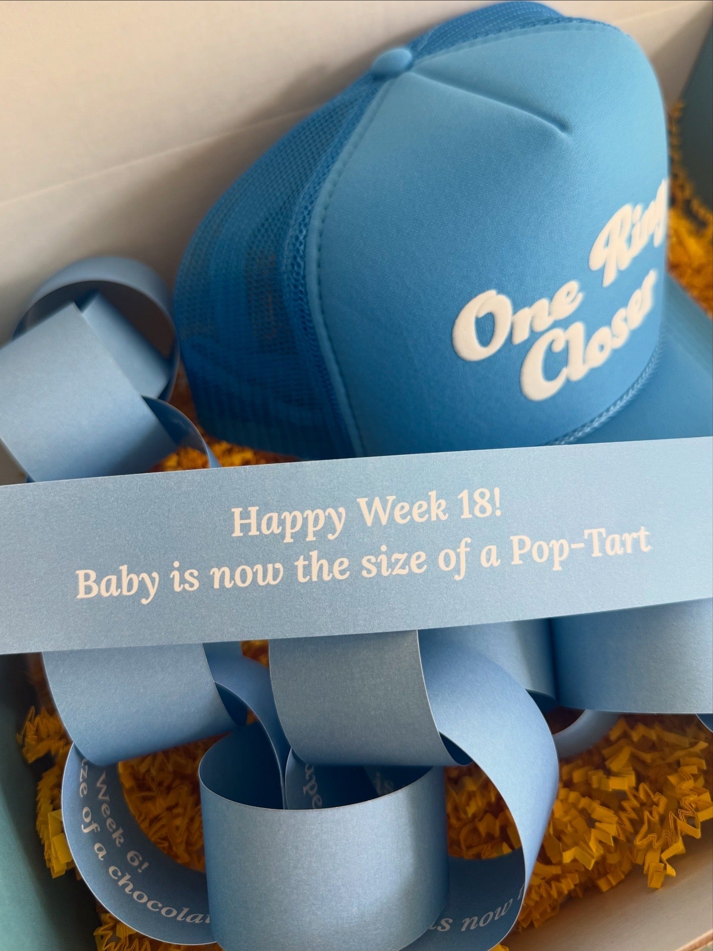 The Pregnancy Countdown Chain