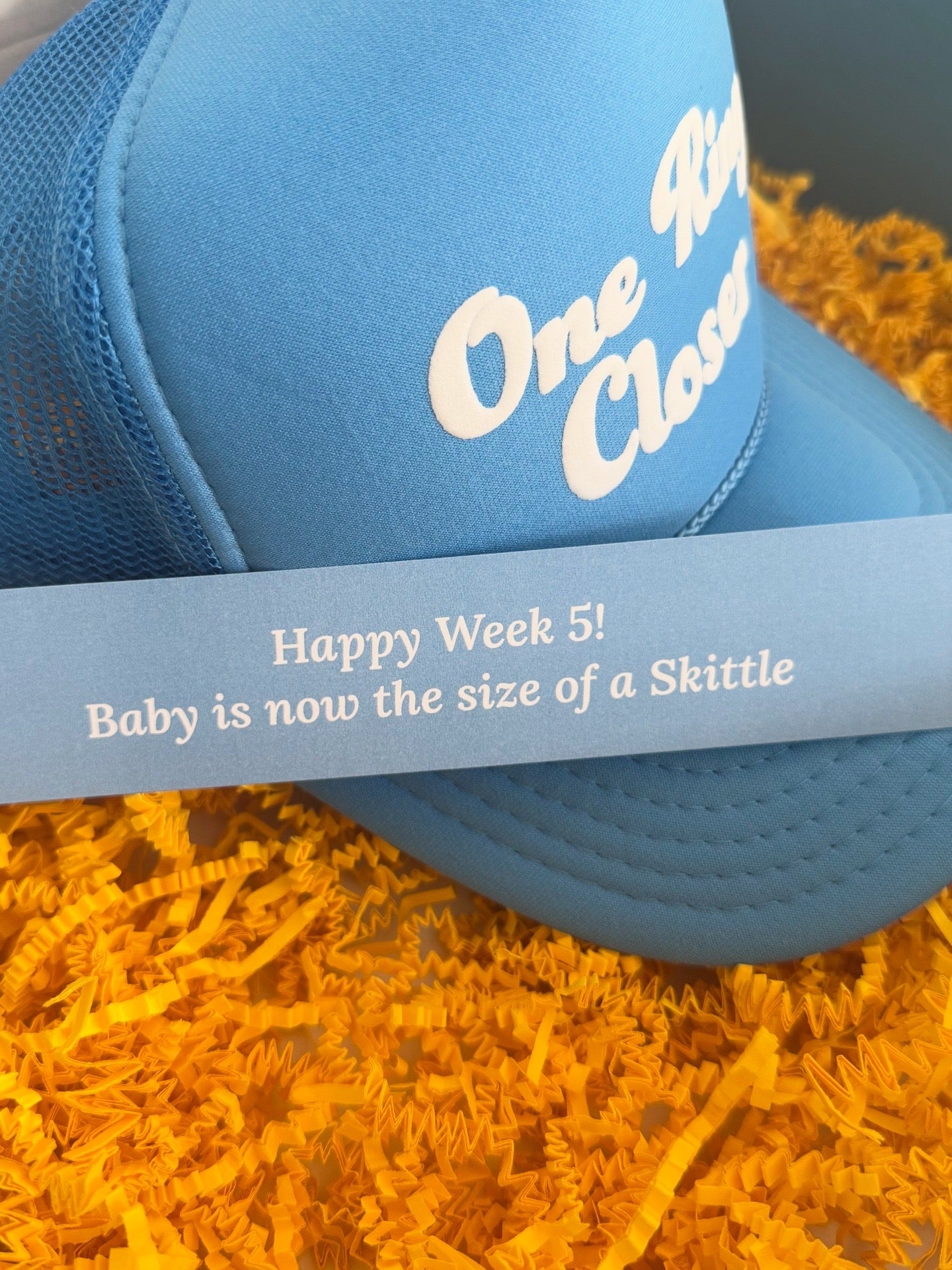 The Pregnancy Countdown Chain