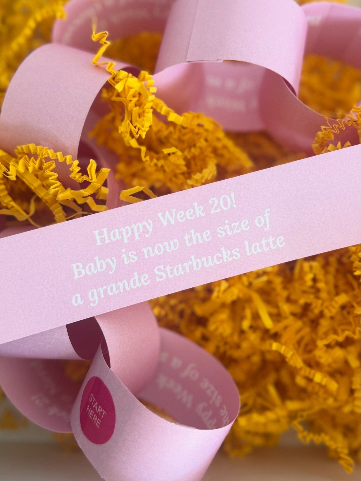 The Pregnancy Countdown Chain